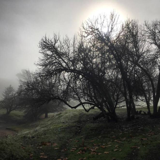 19987251_10203407324260331_1614944759_n